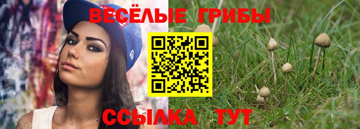 Псилоцибиновые грибы Cubensis  Галлюциногенные грибы GOLDEN TEACHER  Вход с VPN  Северодвинск 